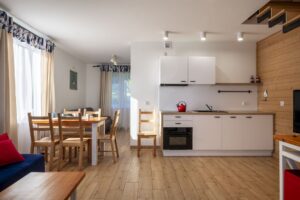 salon z aneksem kuchennym