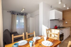 salon z aneksem kuchennym